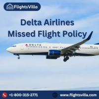 What Happens if I Miss My Delta Flight