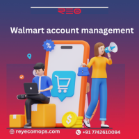  Efficient eBay, Walmart, and Shopify Account Management with Reyecomops