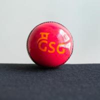 Experience Precision with GRIFFIN SPORTS Global’s Pink Leather Cricket Ball