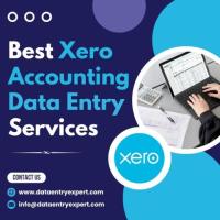 Top Xero Accounting & Bookkeeping Data Entry Services