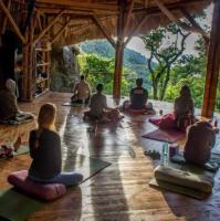 Ayahuasca Retreats Australia