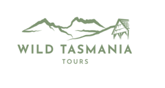 Small Group Wildlife Tours Tasmania: Explore Nature Up Close