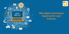 Why Digital Marketing is Important for Your Business