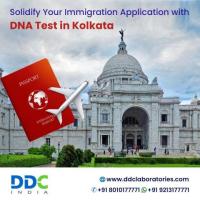 Choose Us for Accurate Immigration DNA Tests in Kolkata