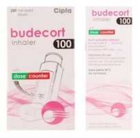 Buy Pulmicort Generic 100 mcg Inhaler