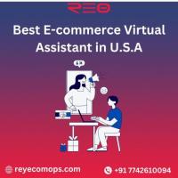 Ecommerce Virtual Assistant & Amazon Seller Service Provider | Reyecomops