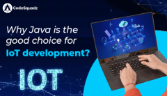 Why is Java the good choice for IoT Development?