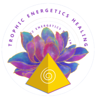 Trophic Energetics