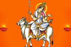 How Mother Cow is Associated with Goddess Durga and Navratri