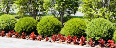 Find the Best Landscape Service Near Me