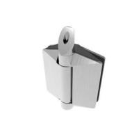 Sturdy and Stylish Pool Hinges