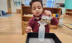 Nurturing Growth Through Montessori Toddler Programs