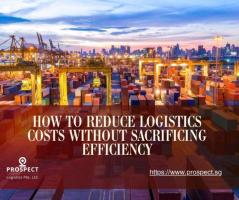 Efficient Logistics: Key Techniques for Cost Reduction — Prospect Logistics