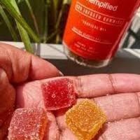 Hempified CBD Gummies Worth Buying?