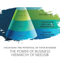 Understanding the Hierarchy of Needs in Business