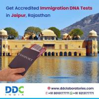 Searching for Affordable DNA Tests in Jaipur for Immigration?