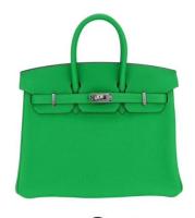 HERMES Birkin 25 Bambou Togo Bag