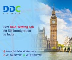 Immigration DNA Test for UK: Ensuring Accurate Family Connections