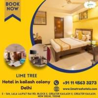 Hotel in Kailash Colony/Lime Tree Hotel