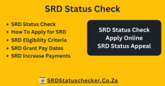 Get Instant Access to Your SASSA Application Status