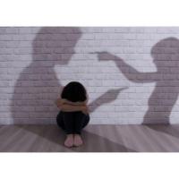 Intimate Partner Violence Case Management