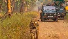 Secure Devaliya Park Safari Booking for Beauty of Gir