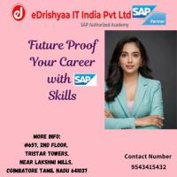 Future Proof Your Career Skills With SAP