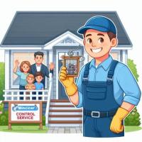 Best Mice Removal Service Vaughan – Get rid of your pests