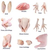 Wholesale Frozen Chickens, Bovine Beef Wholesale 