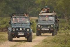 Reserve Gir Jeep Safari Booking Online for Peaceful Trip