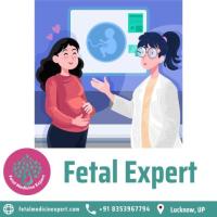 Fetal Expert In Lucknow