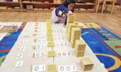 Montessori Toddler Activities for Early Development