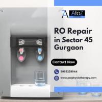 RO Repair in Sector 45 Gurgaon