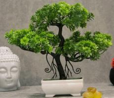 Artificial Plants Online: Buy Now & Enjoy Up to 75% OFF