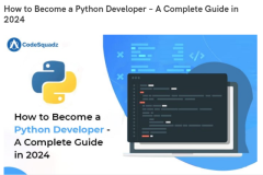 How to Become a Python Developer – A Complete Guide in 2024