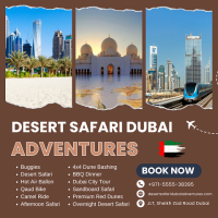 Desert Safari Dubai Adventures | Dubai Desert Safari |+971 55 553 8395