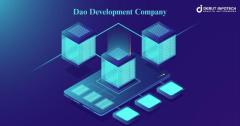 DAO Development Company