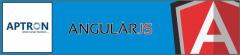 AngularJS Training Institute in Gurgaon