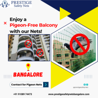 Top-Quality Pigeon Safety Nets in Bangalore – Prestige Safety Nets