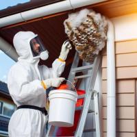 BBPP Pest Control Service in Thornhill - Get rid of your pests