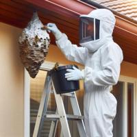 BBPP Pest Control - Service in Woodbridge- Get rid of your pests