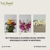 Buy Wholesale Flowers Online: Trusted Wholesale Florist in Montreal