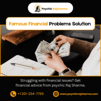 Famous Financial Problems Solution Astrologer in New Jersey | Psychic Raj Sharma