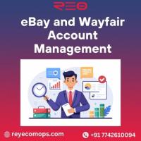 Reyecomops: General Virtual Assistants for Wayfair & eBay Management