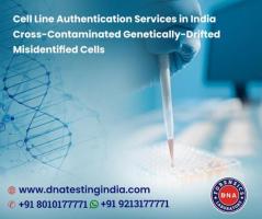 Cell Line Authentication in India - Importance and Process