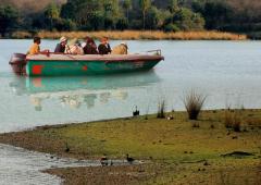 Schedule Chambal Safari Booking for Wildlife Sightings 