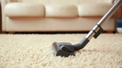 Carpet Cleaning Watsonia – Steam & Refresh Services