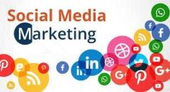 Invoidea is The Best Social Media Marketing Agency in Delhi For Online Presence