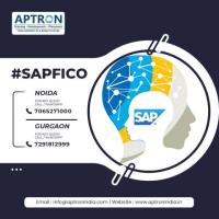 SAP FICO Training Institute in Gurgaon