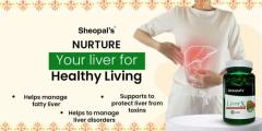 What Are Best Ayurvedic Medicine  To Help Detox Your Liver? 